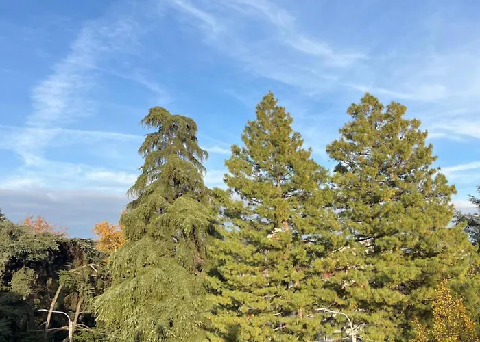 Апартаменты Casa Sargano In Zona Tranquilla